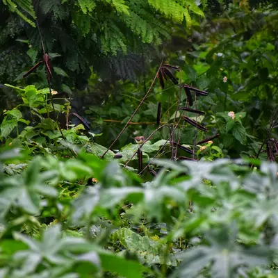 a spider in a web