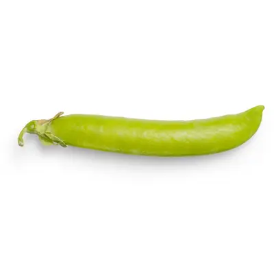 Monte Gusto (Phaseolus vulgaris)