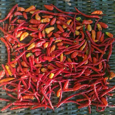 a pile of red peppers sitting on top of a table