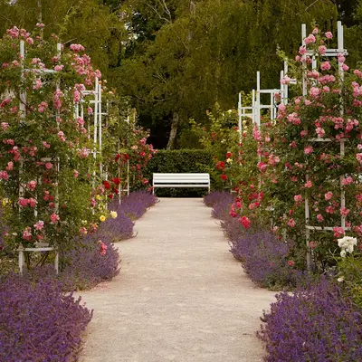A white bench sitting in the middle of a garden