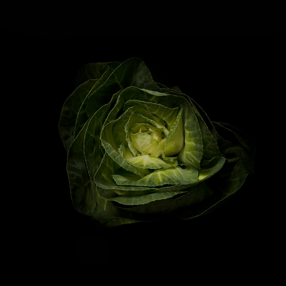 Amazing plant