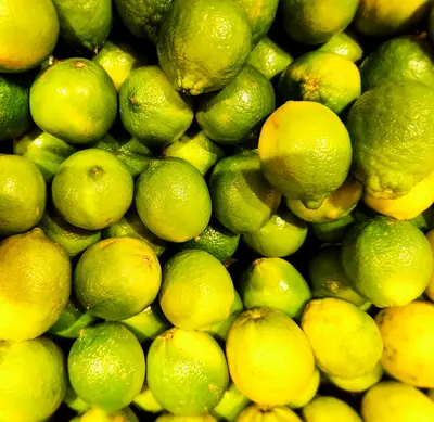 Citrus (Brassica rapa var. pekinensis)