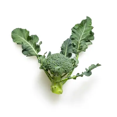 Denali (Brassica oleracea var. botrytis)