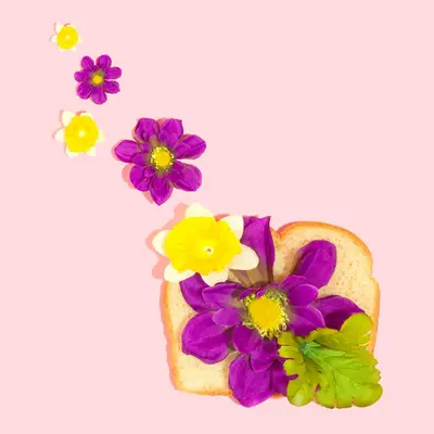 sliced bread