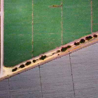 Illini Xtra Sweet corn variety