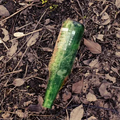 a green vegetable on the ground