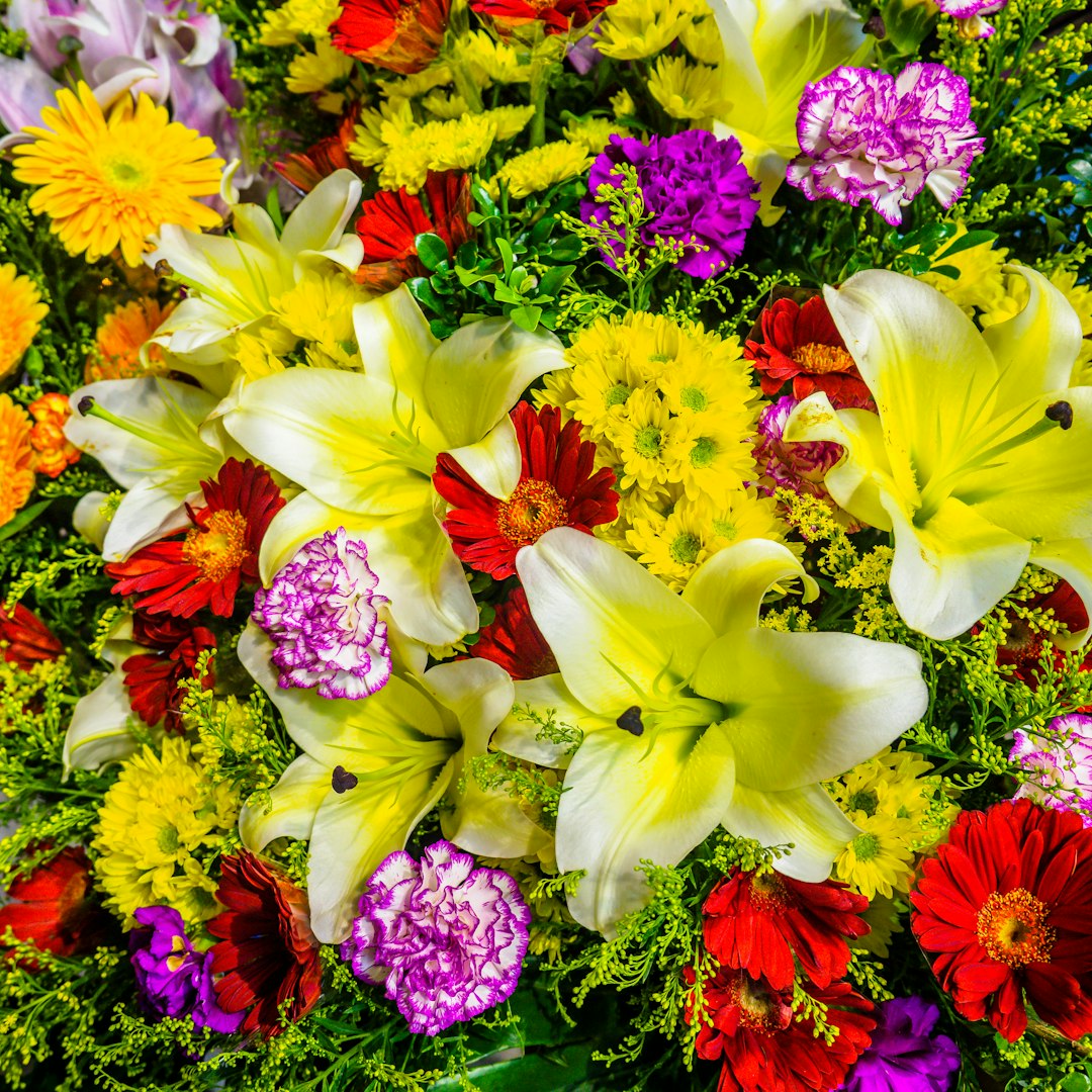 Choice Mix flower variety