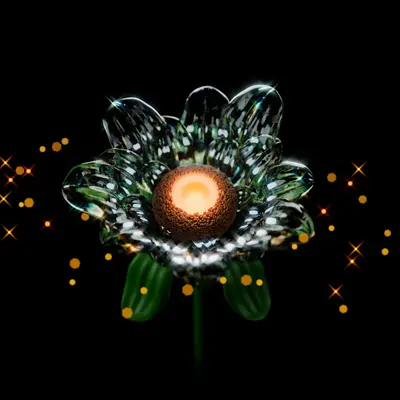 Classic Magic flower variety