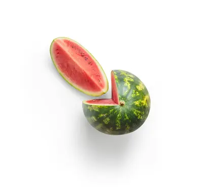 Elegance Watermelon flower variety