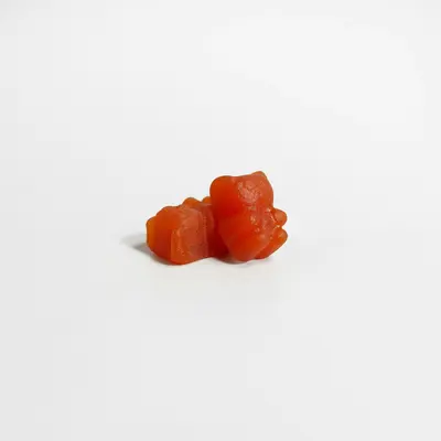 Gummy Bear (Helianthus annuus)