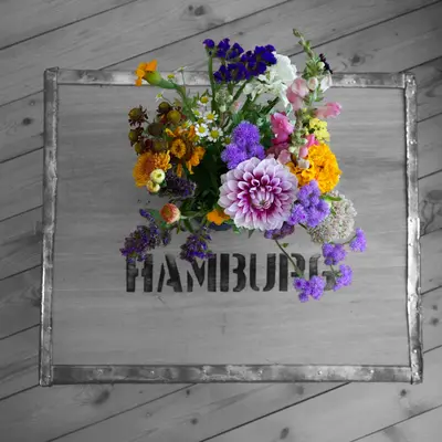 Mammoth Choice Mix flower variety