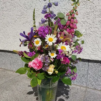 Russell's Formula Mix flower variety