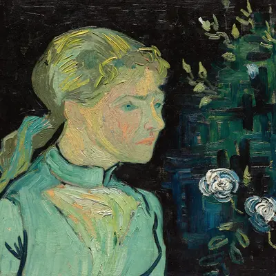 Sunflower Vincent van Gogh flower variety
