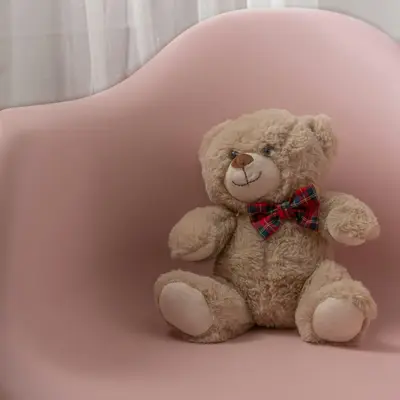 Teddy Bear (Helianthus annuus)