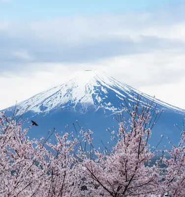 A mountain with a snow capped peak in the background