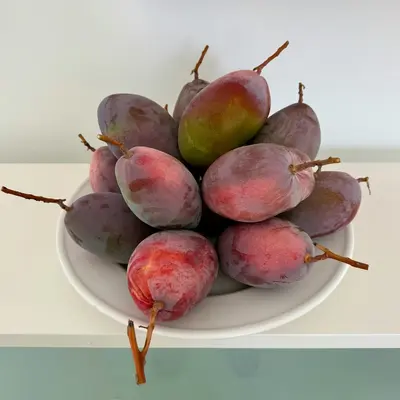 A bowl of ripe mangoes with stems