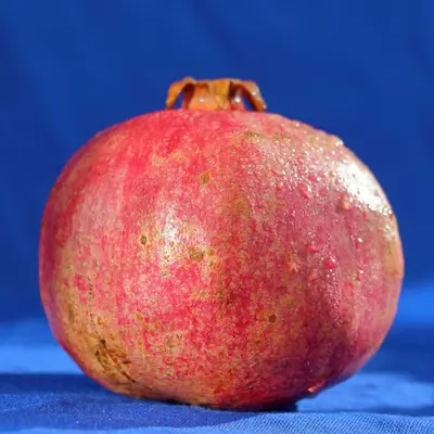 a close up of a pomegranate on a blue background
