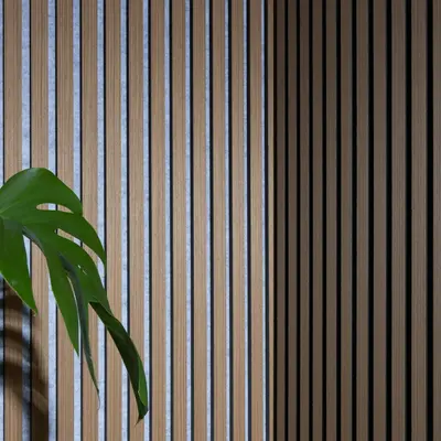 Parlor Palm houseplant variety