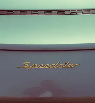Speeder (Cichorium intybus)