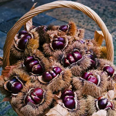 a basket filled with lots of fruit sitting on top of a sidewalk