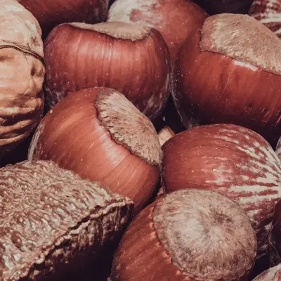 Hazelnut (Lewis) nut tree variety