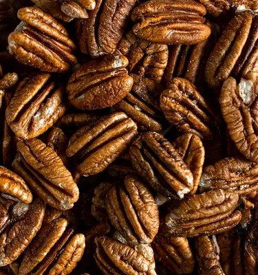 Pecan (Caddo) nut tree variety