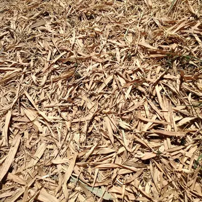 a close up of a pile of wood chips