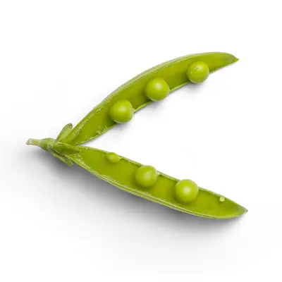 Mr. Big pea variety
