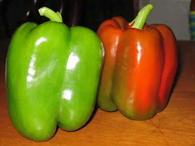 a pile of red peppers sitting on top of a table