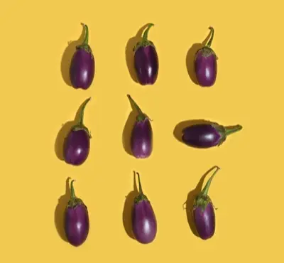 A group of purple eggplant on a yellow background
