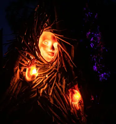 Dwarf Burning Bush shrub variety