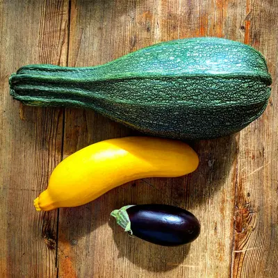 Butterscotch Winter Squash squash variety