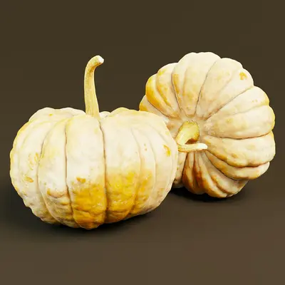 a couple of white pumpkins sitting next to each other