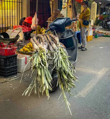 Motorcycle loaded with sugarcane at a market