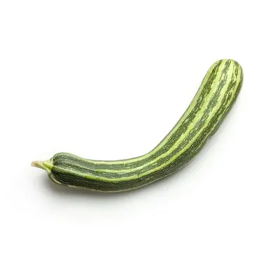 Zucchini Dark Green squash variety