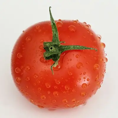 Cherry Roma tomato variety