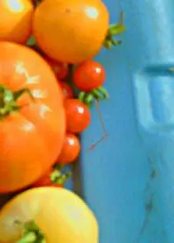 a tomato cut in half on a white surface