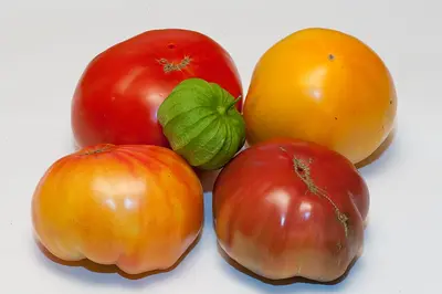 sliced tomato on white surface