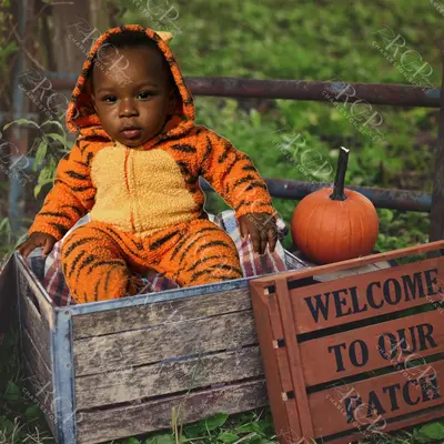 A baby dressed as a tiger sitting in a crate